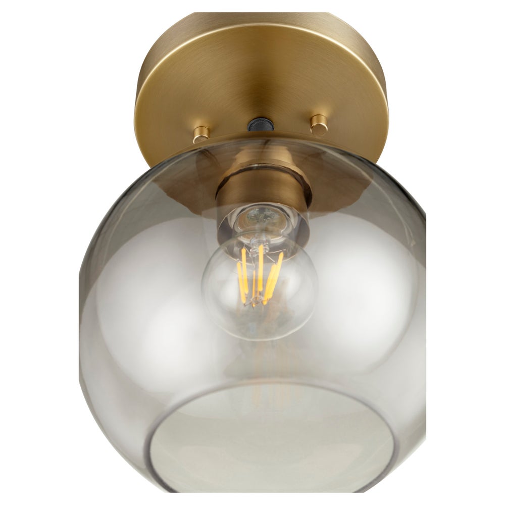 Clarion 1-Light Ceiling Mount