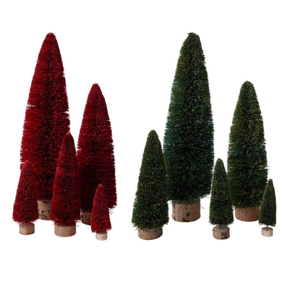 Bottle Brush Tree