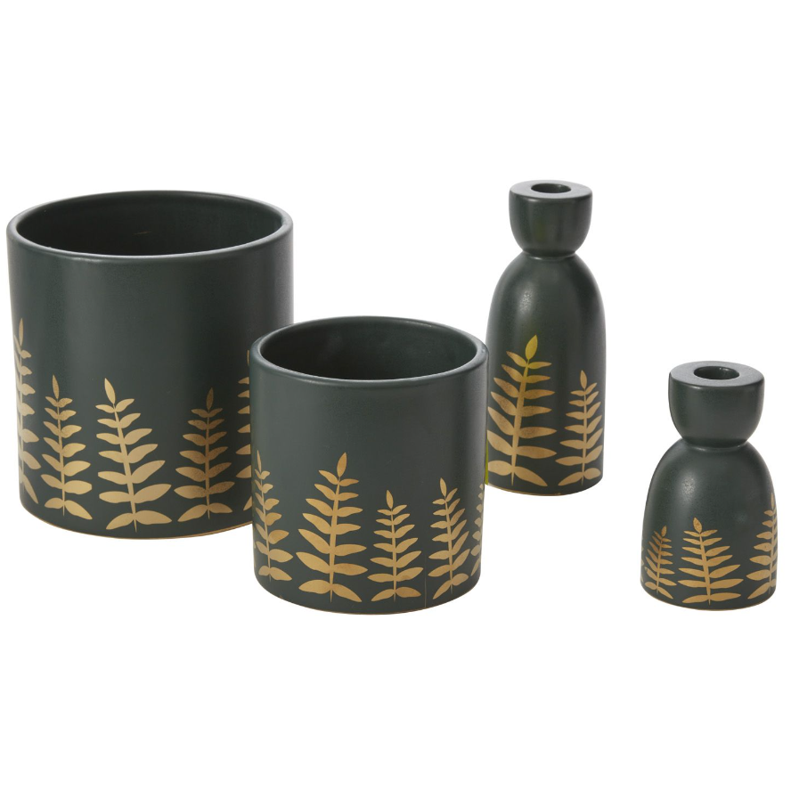 Midwinter Fern Collection