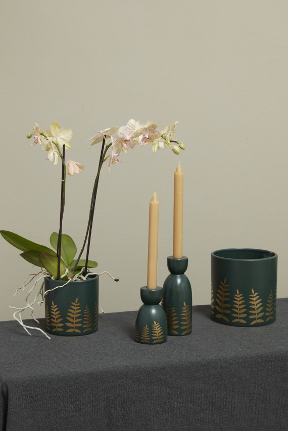 Midwinter Fern Collection