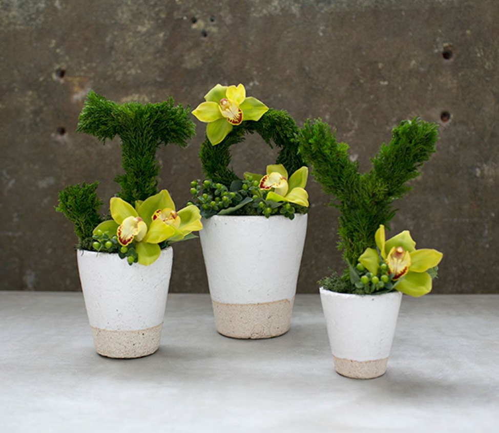Cypress JOY Letters