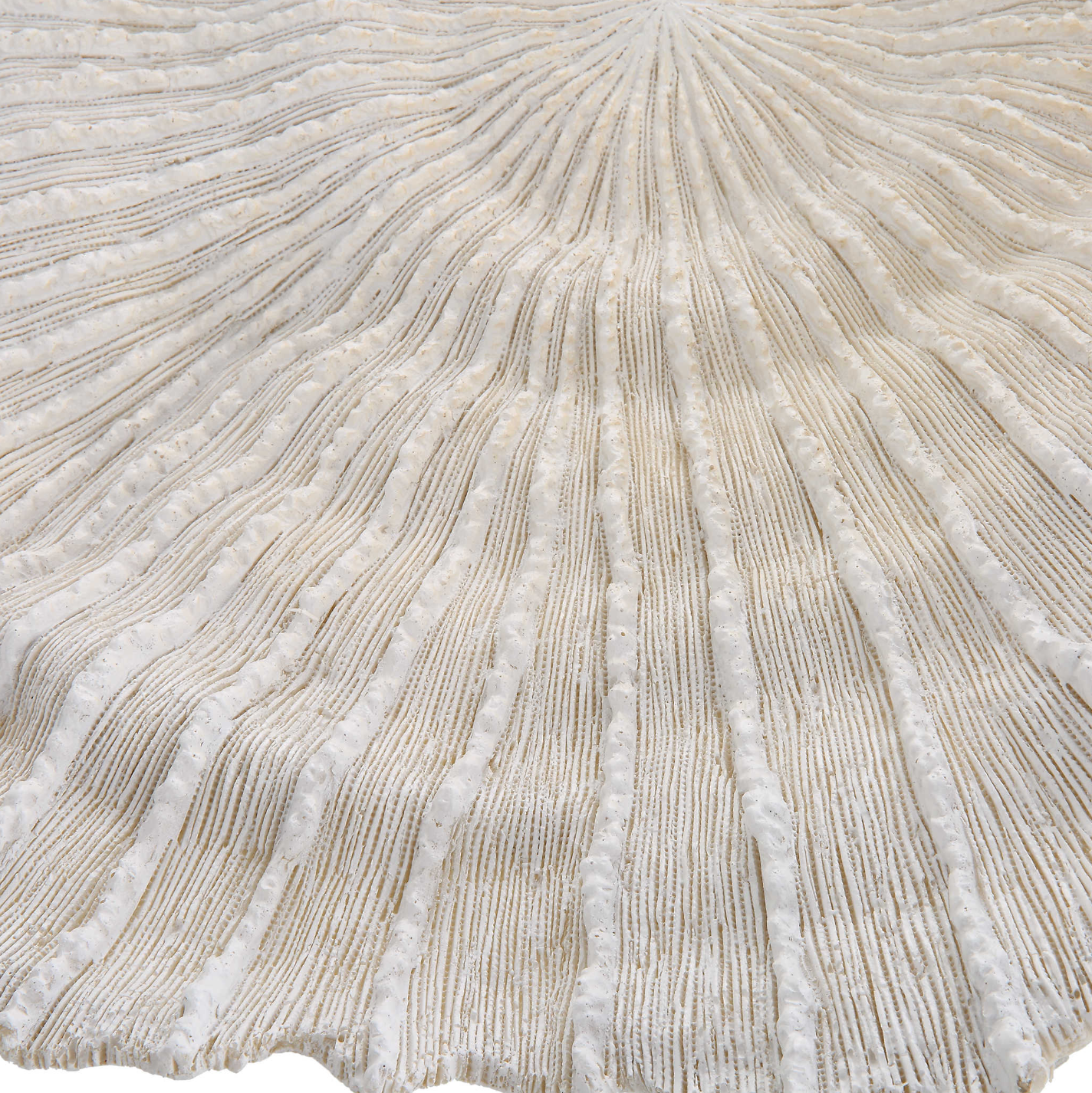 Ocean Gems Wall Decor