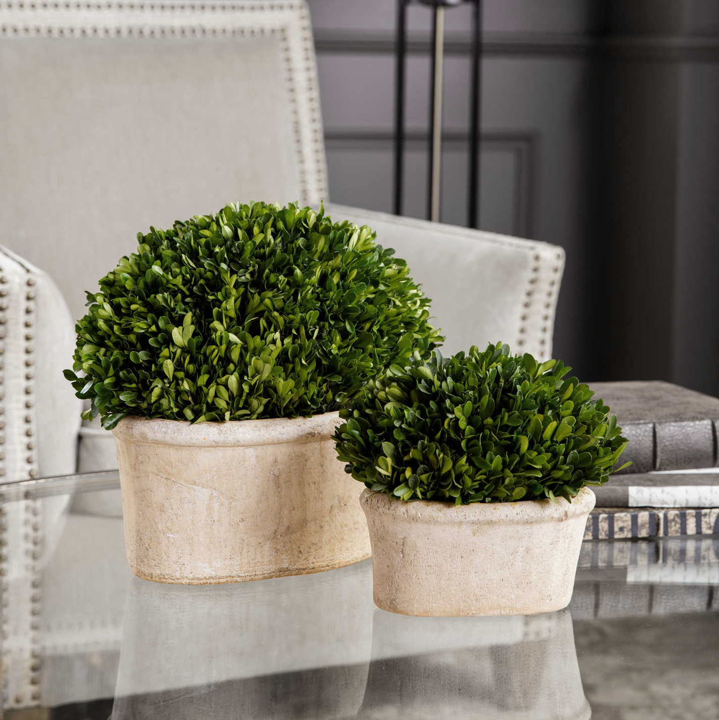 Preserved Boxwood Oval Domes