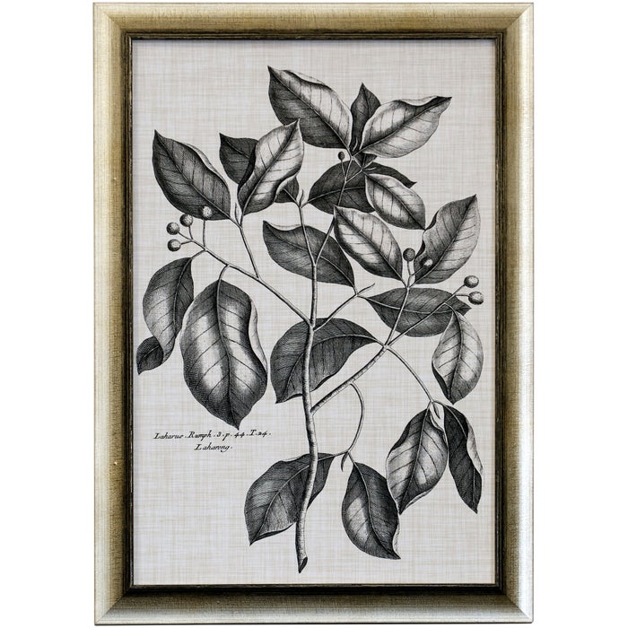 Black & Oatmeal Botanical Framed Art Print VII