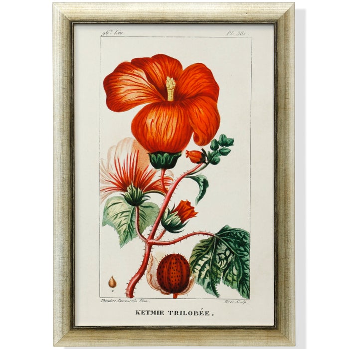 Turnip Tropical Botanicals Framed Art Print VII