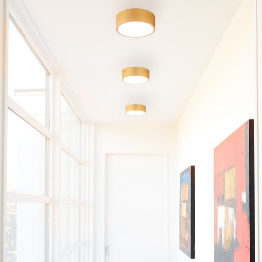 Peepers Sconce Ceiling Mount