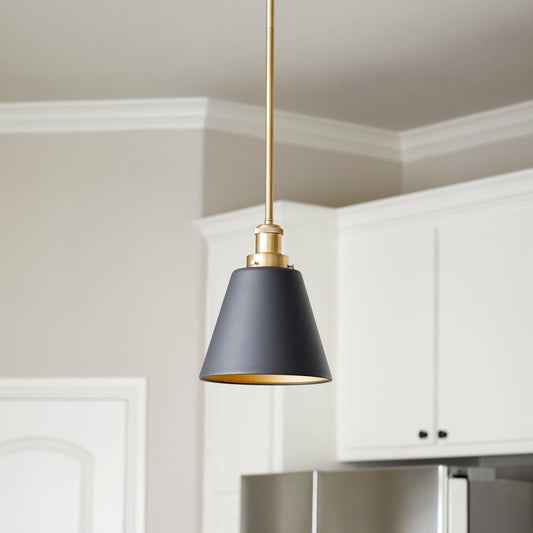 Black and Aged Brass Transitional Pendant