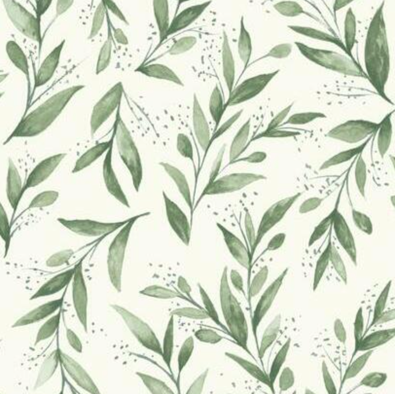 Olive Branch Wallpaper