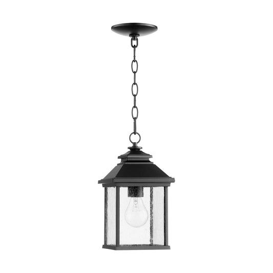 Pearson 13" Black Outdoor Pendant