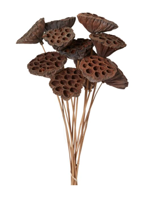 Dried Lotus Pods