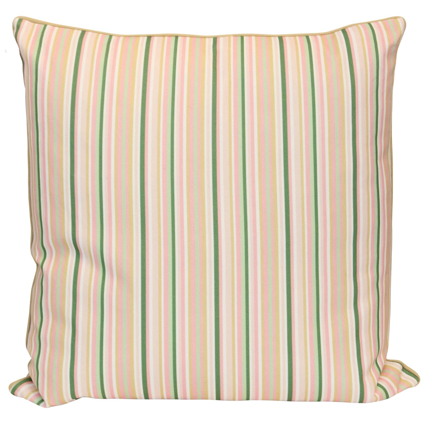 DESIGNER PILLOW 343 - DESIGNER PILLOW - Growing Days by Tamara Day