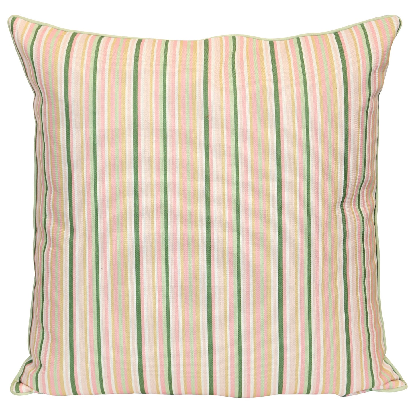 DESIGNER PILLOW 344 - DESIGNER PILLOW - Growing Days by Tamara Day
