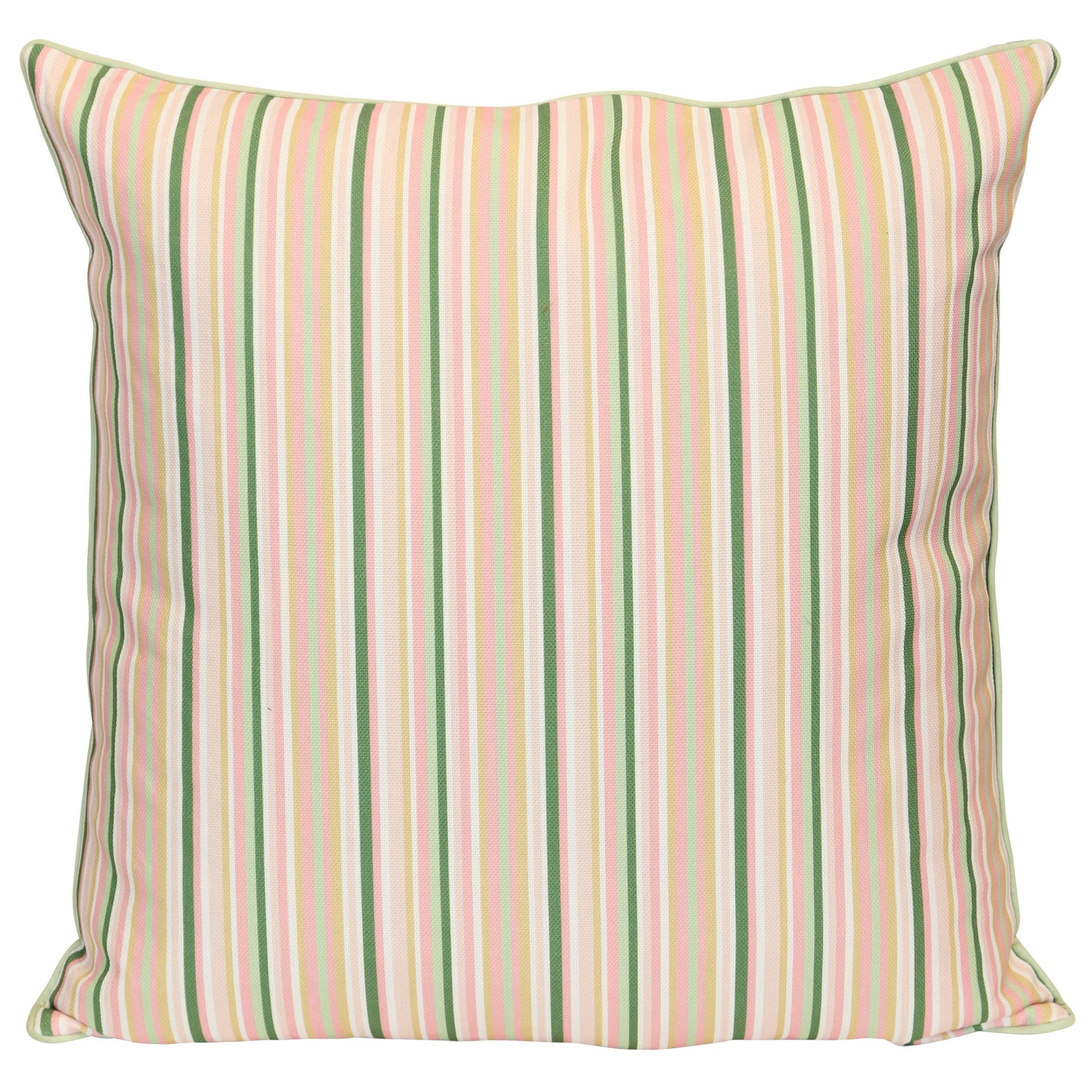 DESIGNER PILLOW 344 - DESIGNER PILLOW - Growing Days by Tamara Day