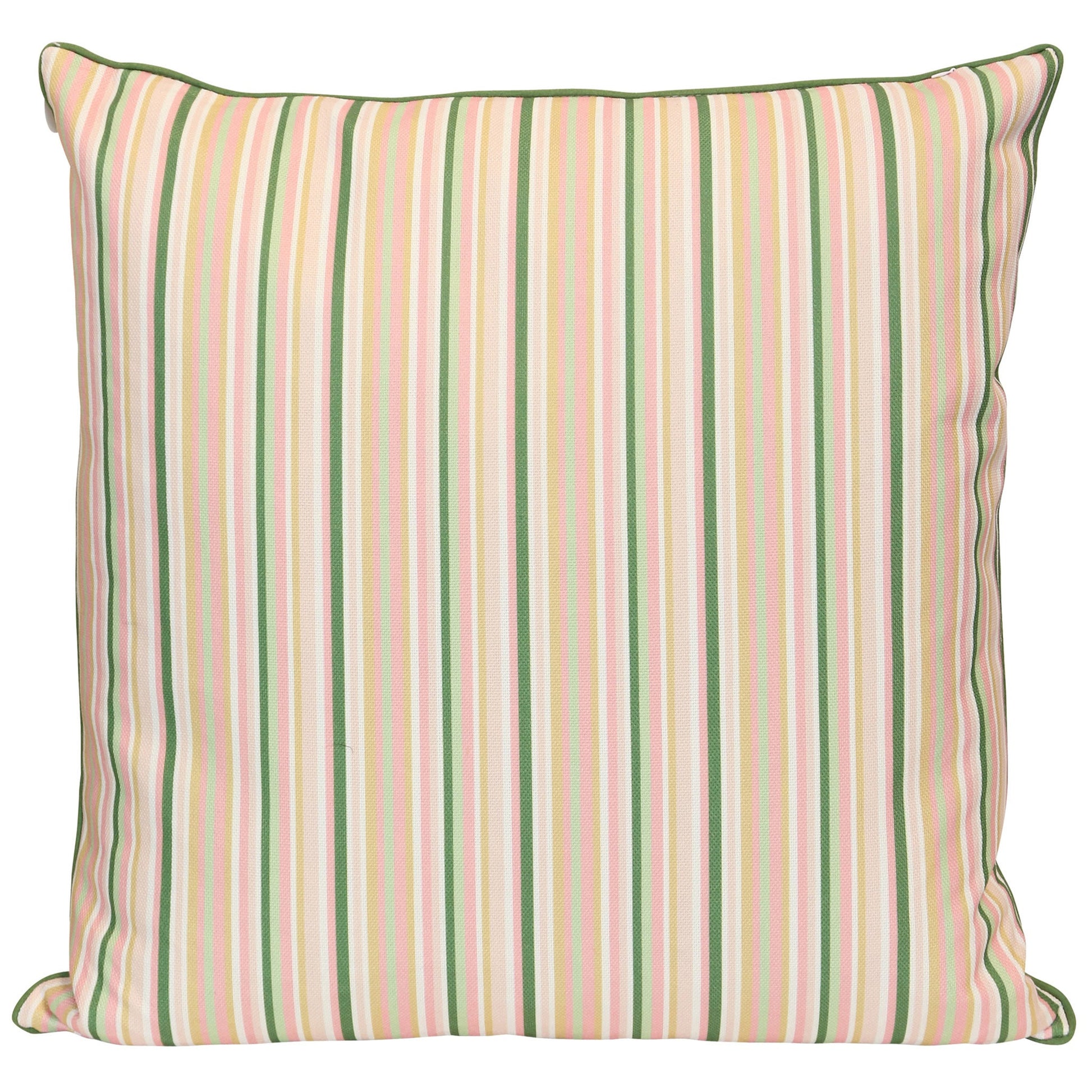 DESIGNER PILLOW 345 - DESIGNER PILLOW - Growing Days by Tamara Day