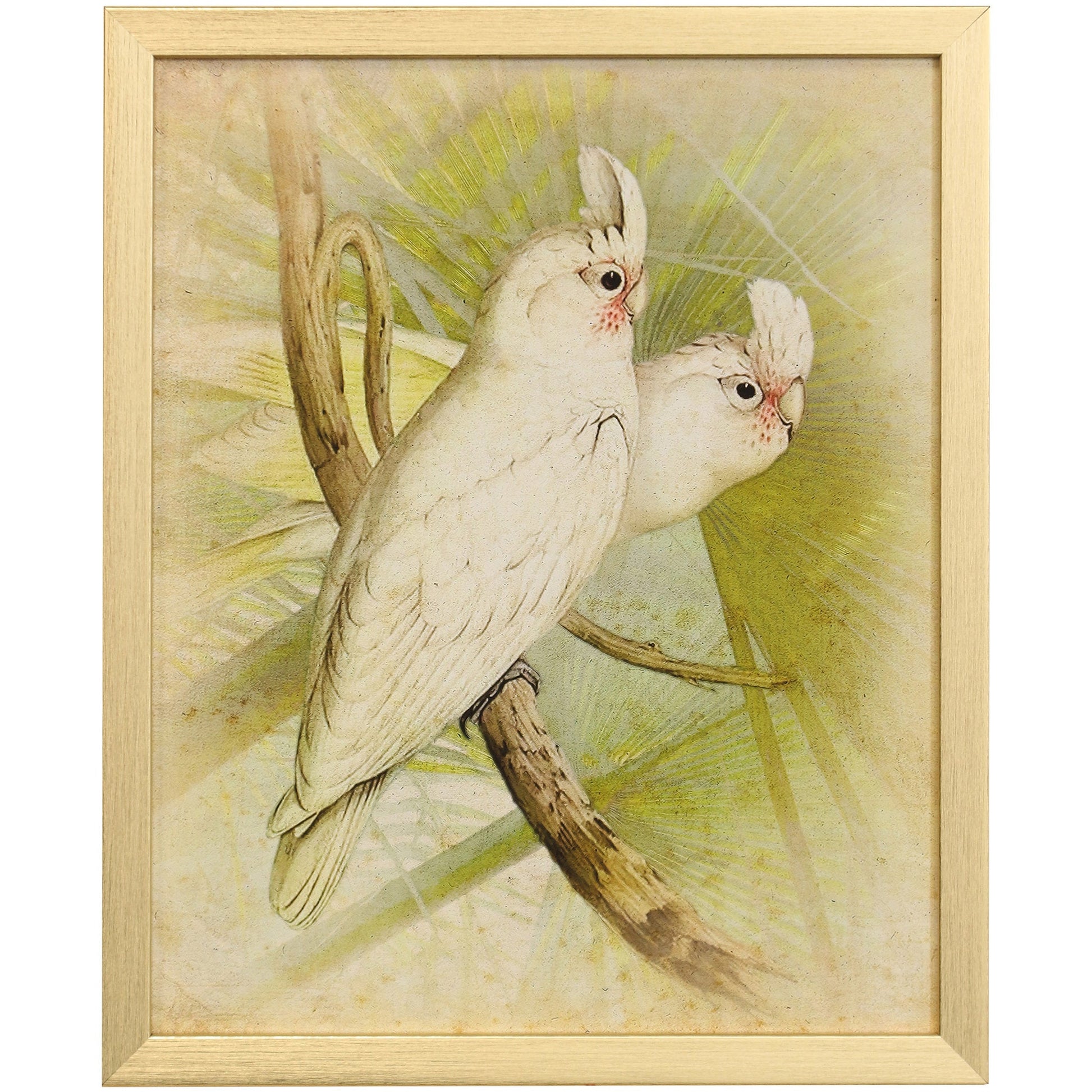 NATURALIST ARCHIVE IV - Art Print - Growing Days by Tamara Day