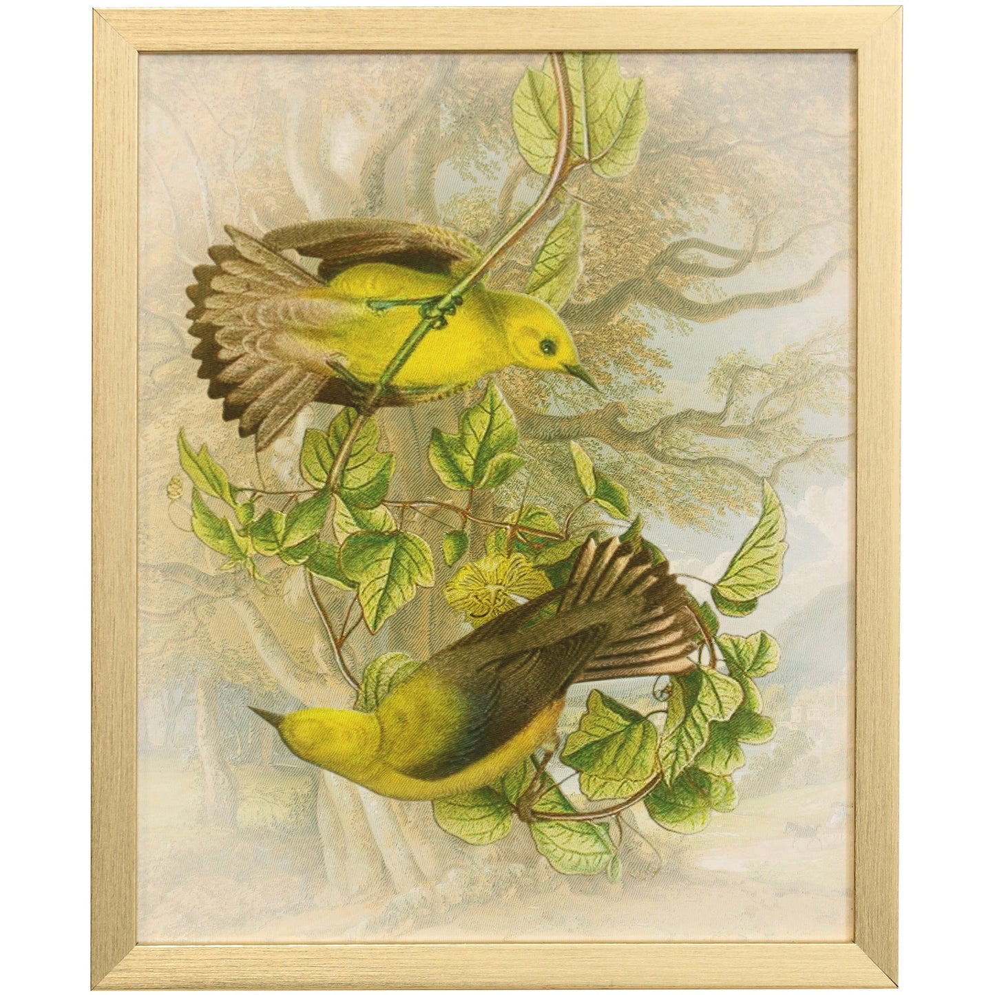 NATURALIST ARCHIVE V - Art Print - Growing Days by Tamara Day