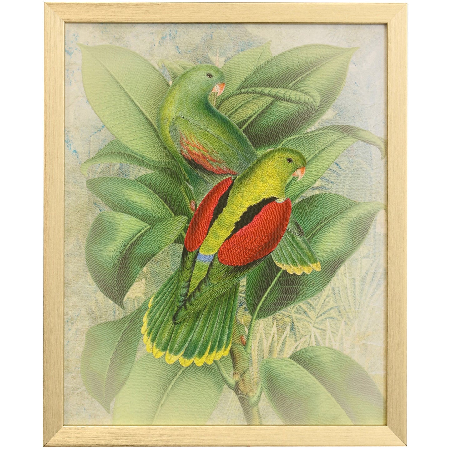 NATURALIST ARCHIVE VI - Art Print - Growing Days by Tamara Day