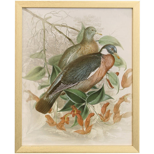 NATURALIST ARCHIVE VII - Art Print - Growing Days by Tamara Day