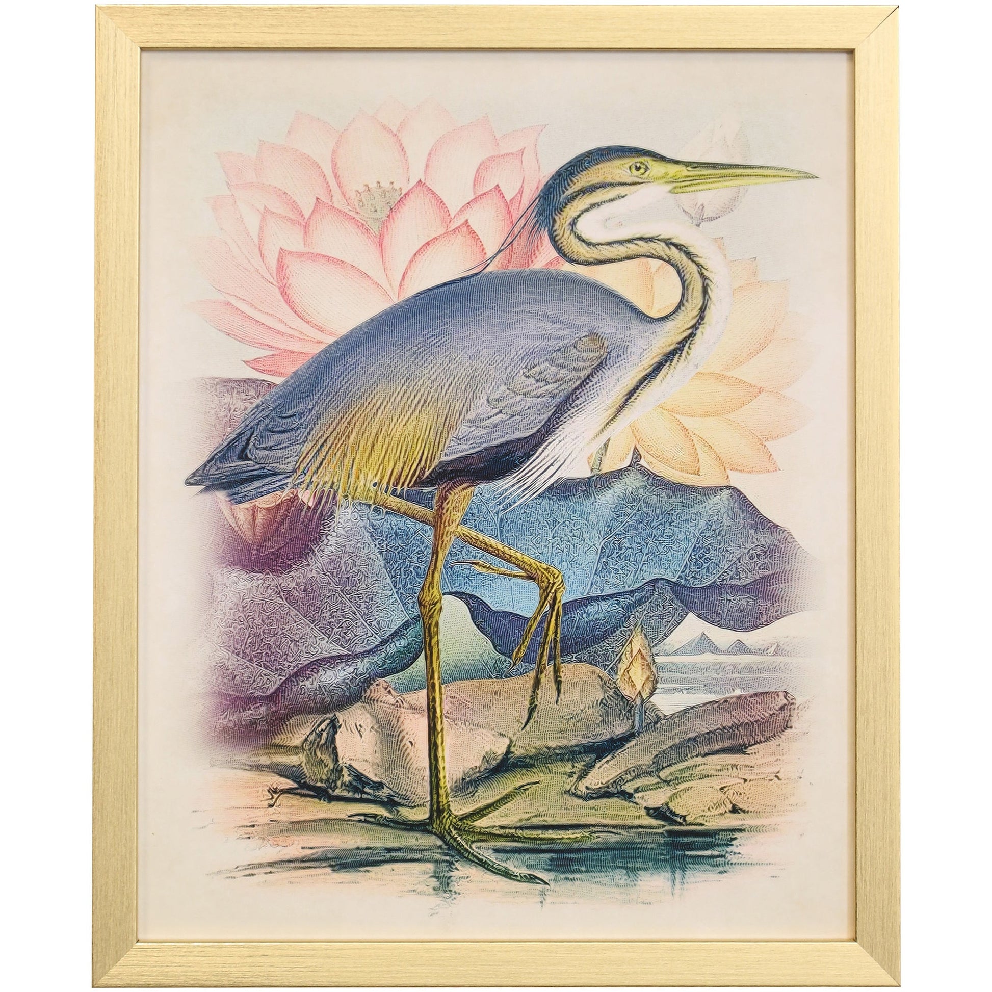 NATURALIST ARCHIVE X - Art Print - Growing Days by Tamara Day