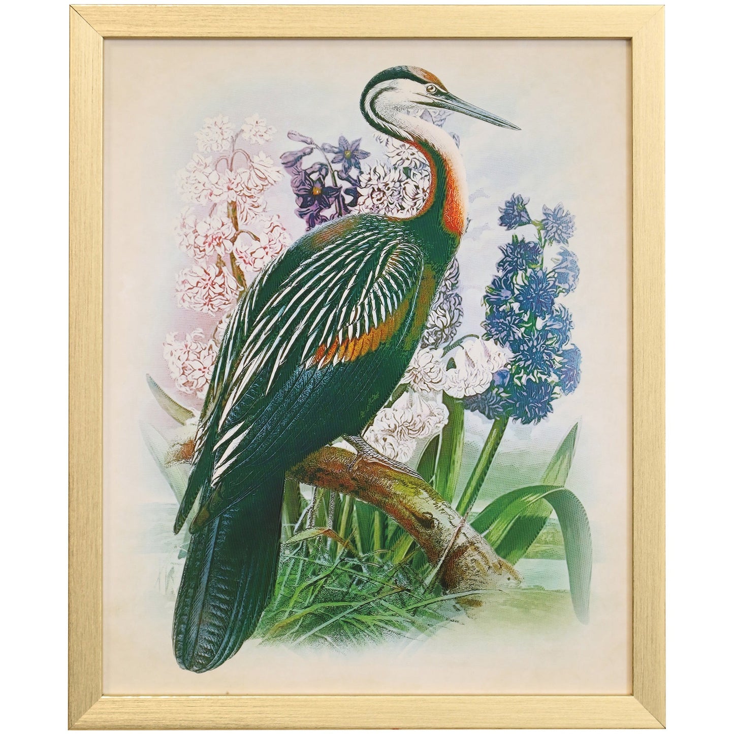 NATURALIST ARCHIVE XI - Art Print - Growing Days by Tamara Day