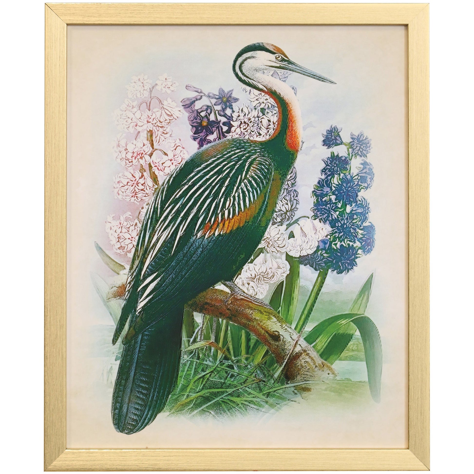 NATURALIST ARCHIVE XI - Art Print - Growing Days by Tamara Day