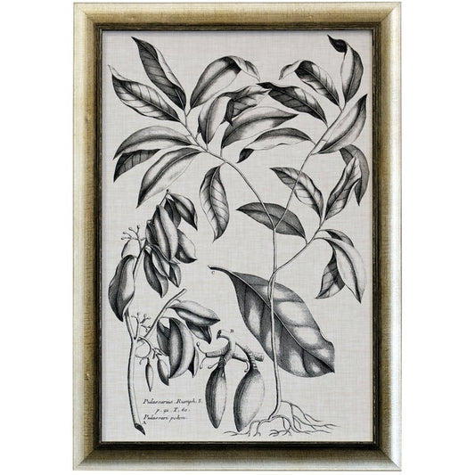 Black & Oatmeal Botanical Framed Art Print I