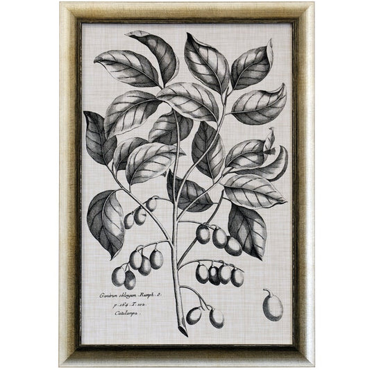 Black & Oatmeal Botanical Framed Art Print II