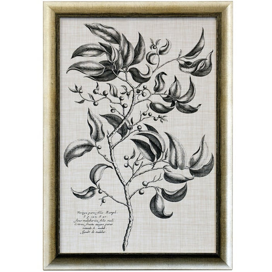 Black & Oatmeal Botanical Framed Art Print III