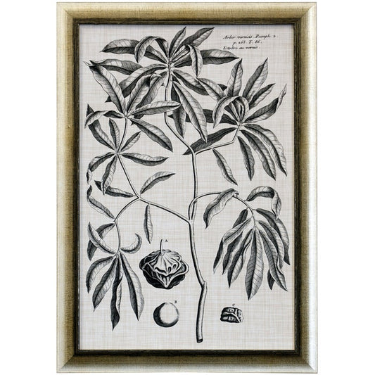 Black & Oatmeal Botanical Framed Art Print V