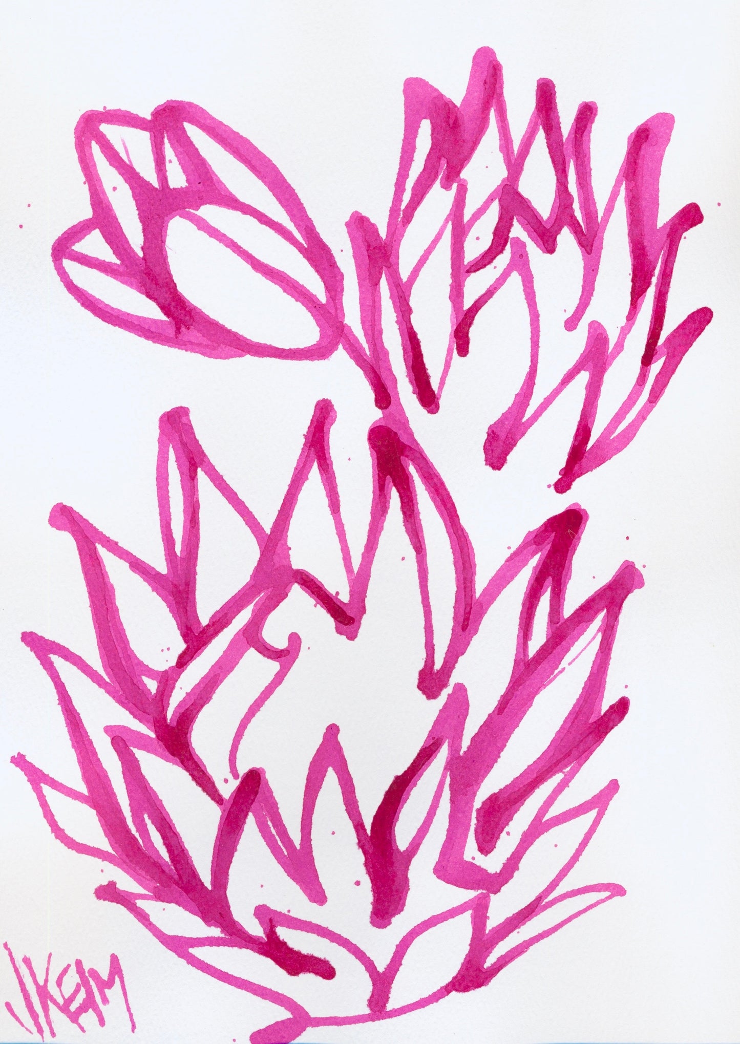 Pink Protea - Jennifer Keim - Original Art - Consignment