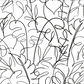 Tropical Signature Wallpaper - Black