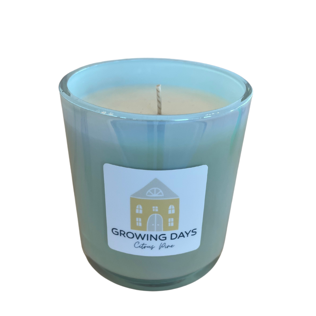 Winter Day Candle