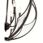 Montavello 6 Light Chandelier - Lighting
