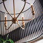 Linara 6 Light Chandelier - Lighting