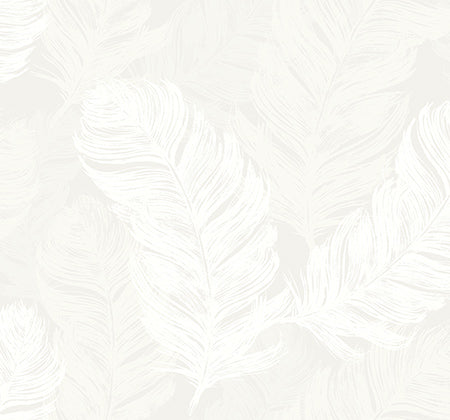 Feathers In The Breeze - Wallpaper