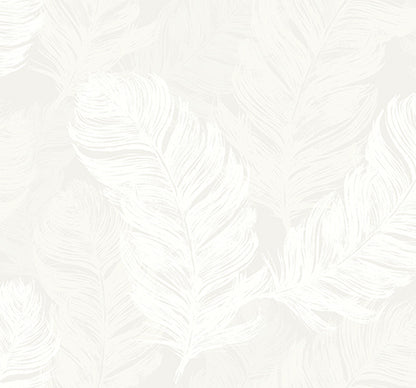 Feathers In The Breeze - Wallpaper